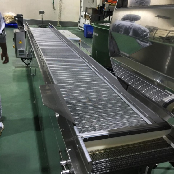 Băng tải xích tấm inox